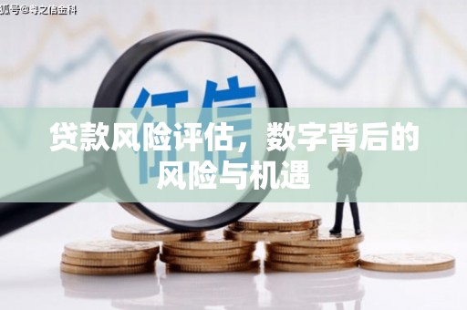 黔江贷款风险评估，数字背后的风险与机遇